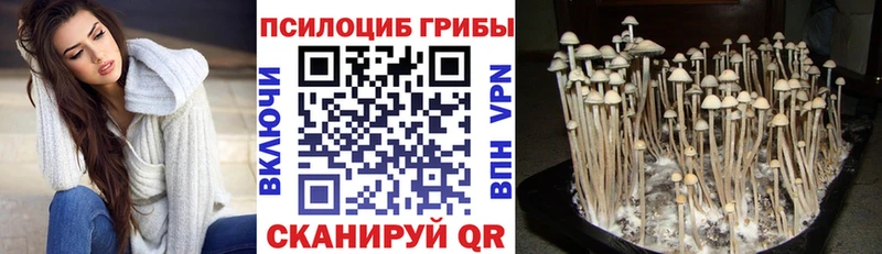 Галлюциногенные грибы прущие грибы  кракен вход  Новокузнецк 